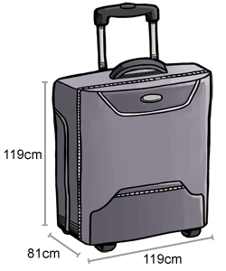 checked baggage