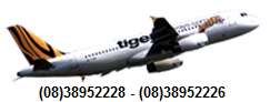 tigerairways vietnam