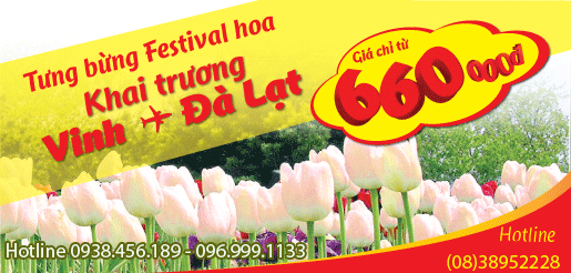 ve-may-bay-vinh-dalat-vinh-gia-re